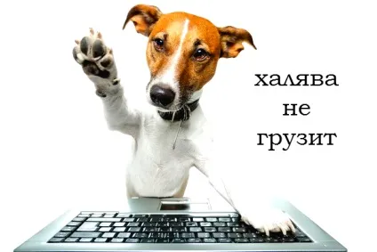 Заробіток на розширеннях для браузера - заробіток в інтернеті (браузера) Заробіток на розширеннях для браузера - заробіток в інтернеті