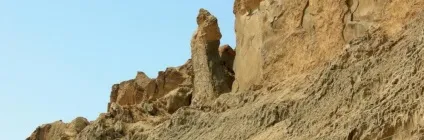 дружина лота