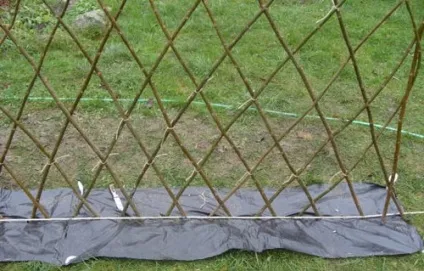 Жива огорожа з верби як зробити оригінальний паркан на дачі своїми руками (паркан) Жива огорожа з верби як зробити оригінальний паркан на дачі своїми руками