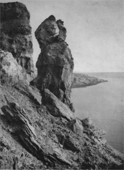 дружина лота