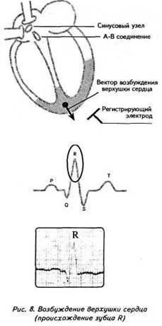 Зудбінов ю