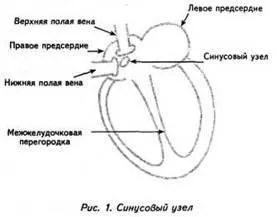 Зудбінов ю