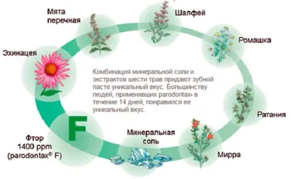 Зубна паста парадонтакс (parodontax) відгуки, ціна і інструкція із застосування (parodontax) Зубна паста парадонтакс (parodontax) відгуки, ціна і інструкція із застосування