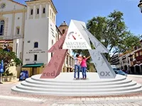 Арка електричних вітамінів, електричні вітаміни