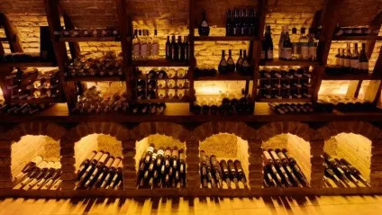 Антон і анастасія