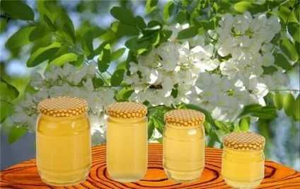 АПК - Вітус - акація жовта (акація) АПК - Вітус - акація жовта