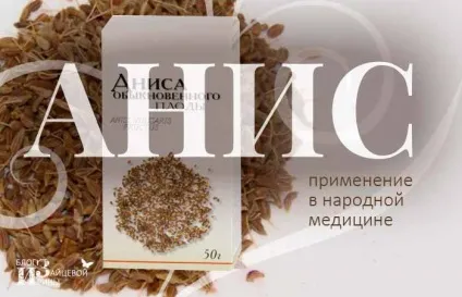 аніс звичайний
