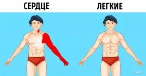 10 Секретів молодості від зірок, яким завжди трохи за 30 (завжди) 10 Секретів молодості від зірок, яким завжди трохи за 30