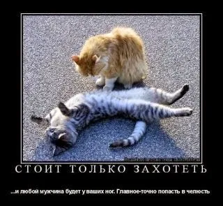 12 Причин почати займатися айкідо