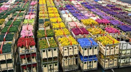 10 Самих містких будівель світу