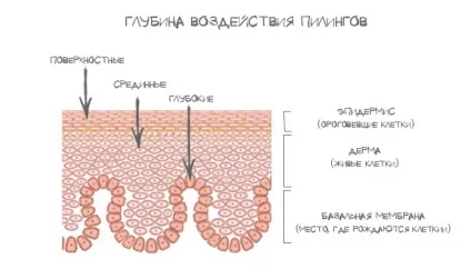 11 Головних речей, які потрібно знати про хімічних пілінгу (гель-пілінг комплексом фруктових кислот) 11 Головних речей, які потрібно знати про хімічних пілінгу