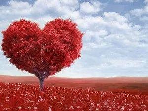 27 Років спільного життя подружжя - яка це весілля, ми робимо свято краще! (27 років спільного життя яке весілля привітання) 27 Років спільного життя подружжя - яка це весілля, ми робимо свято краще!