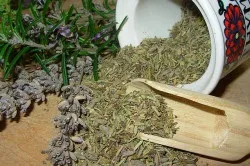 Аденома простати і її лікування народними засобами (простати) Аденома простати і її лікування народними засобами
