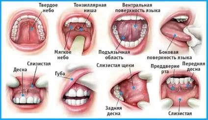 5 П'ять поширених видів раку і їх симптоми (самих) 5 П'ять поширених видів раку і їх симптоми