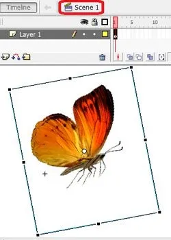 Анімація метелики у флешh (інструментом Free Transform) Анімація метелики у флешh