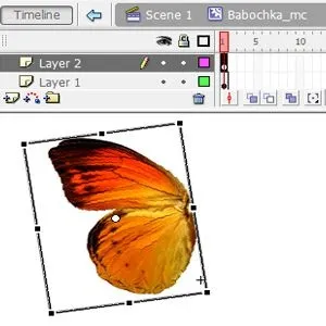 Анімація метелики у флешh (Free Transform Tool) Анімація метелики у флешh