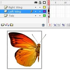 Анімація метелики у флешh (Free Transform Tool) Анімація метелики у флешh