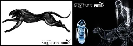 Alexander mcqueen