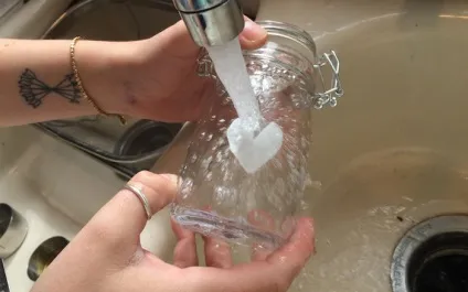 Акваріум в банку як зробити закриту водну екосистему
