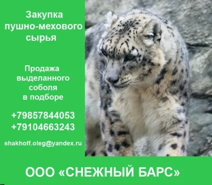 Асоціація професійних мисливців