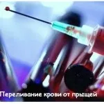 Бодяга від прищів і плям відгуки, дія і способи застосування (прищів) Бодяга від прищів і плям відгуки, дія і способи застосування