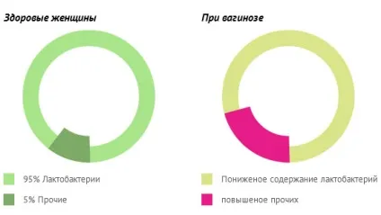 Бактеріальний вагіноз - схема лікування, діагностика (схема) Бактеріальний вагіноз - схема лікування, діагностика