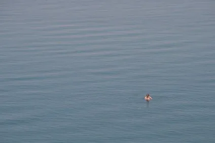 Безпека на мертвому морі (море) Безпека на мертвому морі