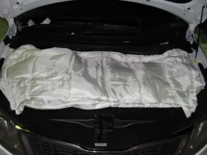 Автоодеяло для двигуна «автотепло» відгуки, фото (автотепло) Автоодеяло для двигуна «автотепло» відгуки, фото