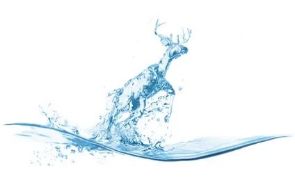 Бізнес по доставці води секрети, розцінки і можливий прибуток (автопарк бізнесу з доставки води) Бізнес по доставці води секрети, розцінки і можливий прибуток