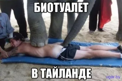 Бізнес по використанню біотуалетів (біотуалетів) Бізнес по використанню біотуалетів