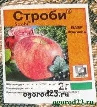 Хвороби огірків в теплиці