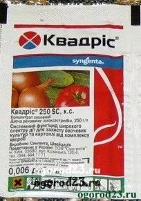 Хвороби огірків в теплиці