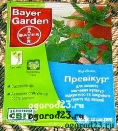Хвороби огірків в теплиці