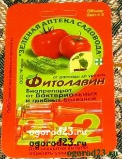 Хвороби огірків в теплиці