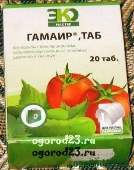Хвороби огірків в теплиці