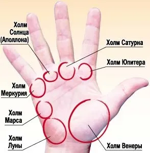 Майбутнє написано на наших долоні (життя може з'являтися) Майбутнє написано на наших Ладоня