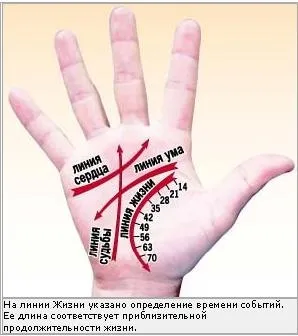 Майбутнє написано на наших долоні (життя може з'являтися) Майбутнє написано на наших Ладоня