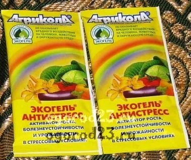 Хвороби огірків в теплиці