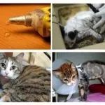 Чим відмити клей для мишей
