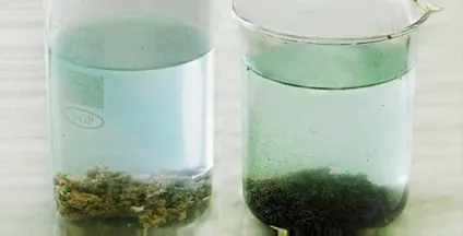 Чим відрізняється коагулянт від флокулянта для очищення води (коагулянт) Чим відрізняється коагулянт від флокулянта для очищення води