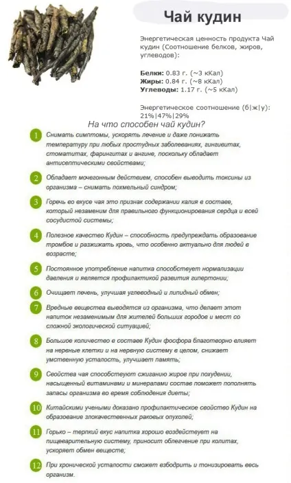 Чай кудін - властивості, протипоказання (протипоказання) Чай кудін - властивості, протипоказання
