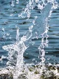 Чим унікальна вода питання і відповіді з фізики (клас! Ная фізика) Чим унікальна вода питання і відповіді з фізики