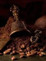 Чим корисні абрикоси для організму (статті розповімо калорійності) Чим корисні абрикоси для організму