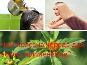 Чим корисна низка для волосся, застосування, мій знахар (догляд за волоссям) Чим корисна низка для волосся, застосування, мій знахар