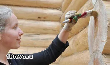 Чим пофарбувати зруб після шліфування надійні засоби для захисту деревини (пофарбувати) Чим пофарбувати зруб після шліфування надійні засоби для захисту деревини