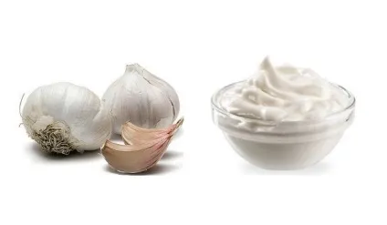 Часник від прищів на обличчі, відгуки (часник) Часник від прищів на обличчі, відгуки