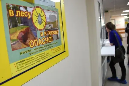 Черешня, шашлик з кліщем і їжачки-вбивці чого варто боятися цього літа - новини Харкова - (лікарні симптомами сильного) Черешня, шашлик з кліщем і їжачки-вбивці чого варто боятися цього літа - новини Харкова -