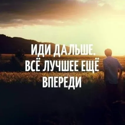 Чорна кішка в ночі (12 фото)