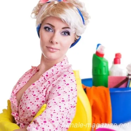 Чистота і порядок в будинку чарівні секрети (чистота) Чистота і порядок в будинку чарівні секрети
