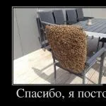 Аутотренінг) я така лапочка! Я така цяця! На мене, красуню НЕ налюбоват (цяця) Аутотренінг) я така лапочка! Я така цяця! На мене, красуню НЕ налюбоват
